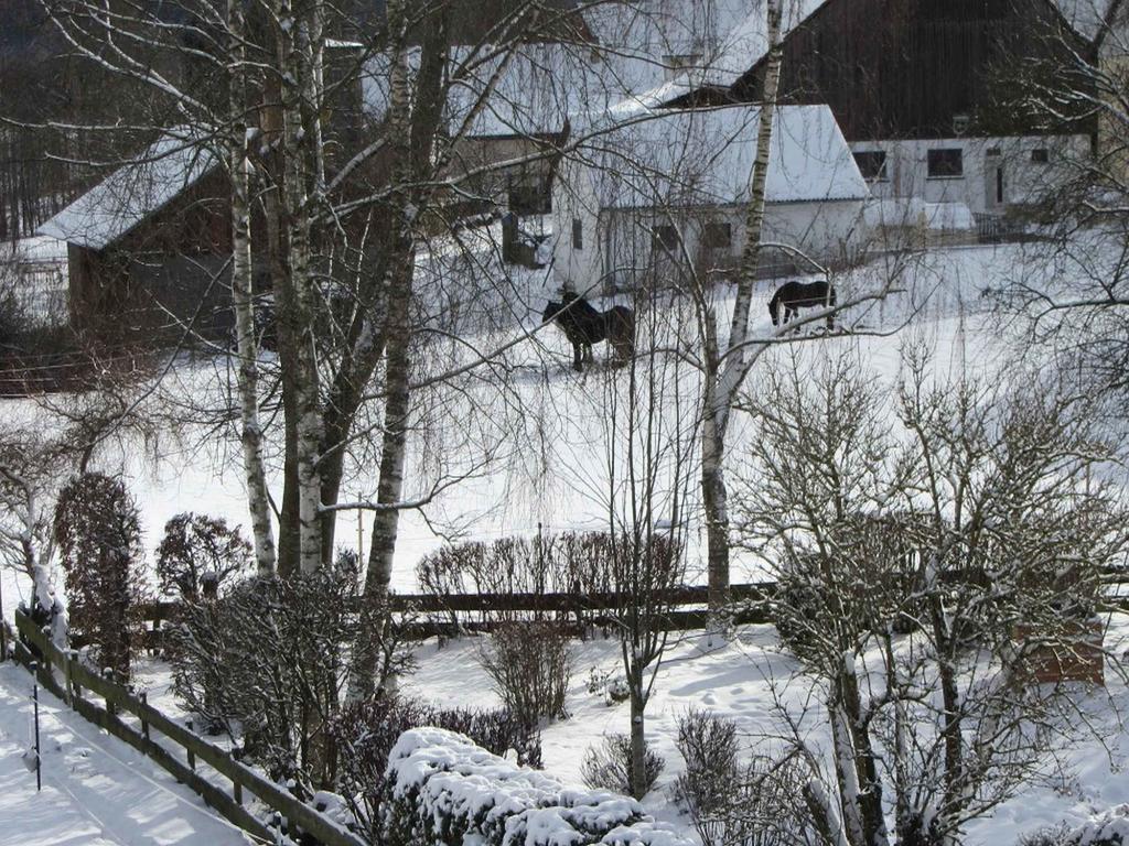 Ferienwohnung Am Weinberg Ostrach Dış mekan fotoğraf